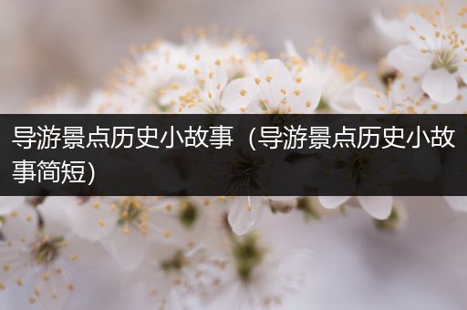 导游景点历史小故事（导游景点历史小故事简短）