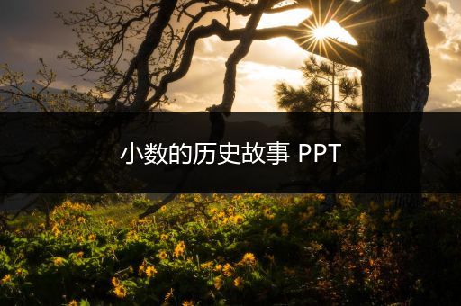 小数的历史故事 PPT