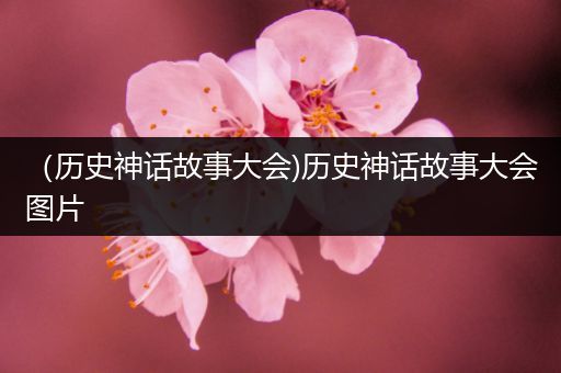 （历史神话故事大会)历史神话故事大会图片