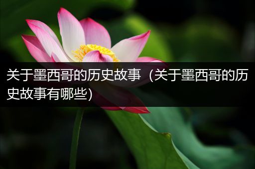 关于墨西哥的历史故事（关于墨西哥的历史故事有哪些）