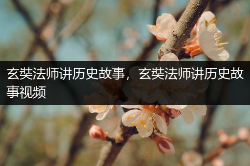 玄奘法师讲历史故事，玄奘法师讲历史故事视频