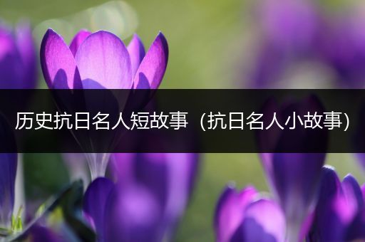 历史抗日名人短故事（抗日名人小故事）