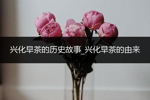 兴化早茶的历史故事_兴化早茶的由来