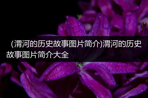 （渭河的历史故事图片简介)渭河的历史故事图片简介大全