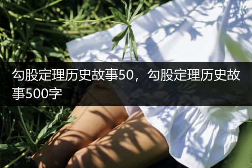 勾股定理历史故事50，勾股定理历史故事500字