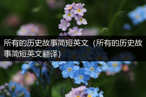 所有的历史故事简短英文（所有的历史故事简短英文翻译）