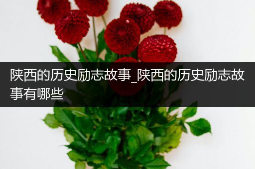 陕西的历史励志故事_陕西的历史励志故事有哪些