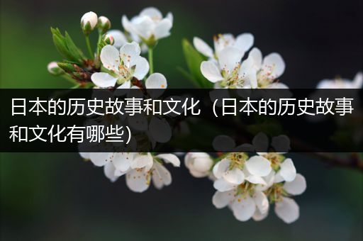 日本的历史故事和文化（日本的历史故事和文化有哪些）