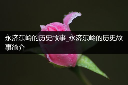 永济东岭的历史故事_永济东岭的历史故事简介