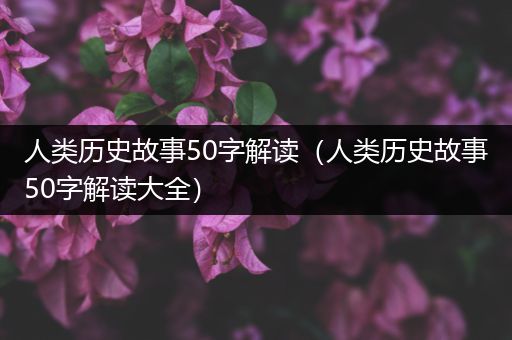 人类历史故事50字解读（人类历史故事50字解读大全）