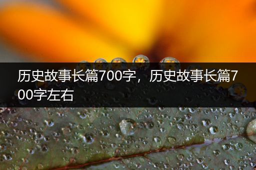 历史故事长篇700字，历史故事长篇700字左右