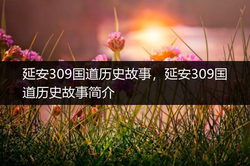 延安309国道历史故事，延安309国道历史故事简介