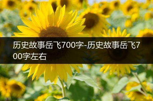 历史故事岳飞700字-历史故事岳飞700字左右