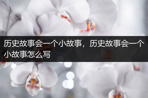 历史故事会一个小故事，历史故事会一个小故事怎么写