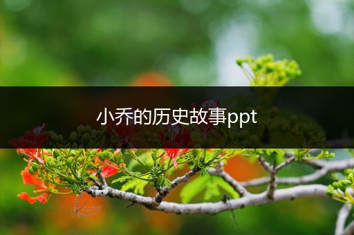 小乔的历史故事ppt