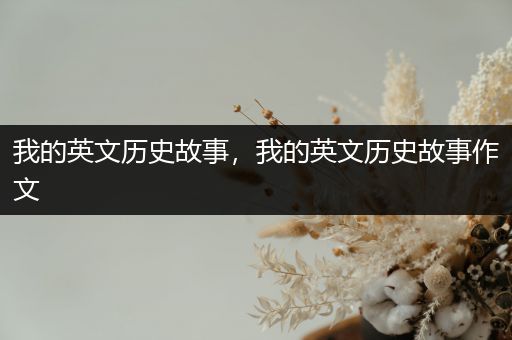 我的英文历史故事，我的英文历史故事作文