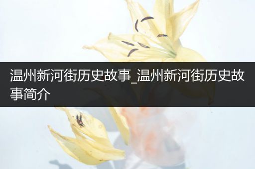 温州新河街历史故事_温州新河街历史故事简介