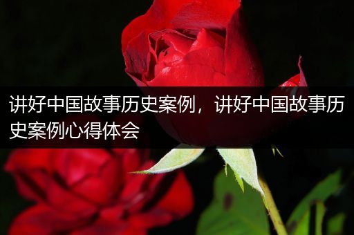 讲好中国故事历史案例，讲好中国故事历史案例心得体会