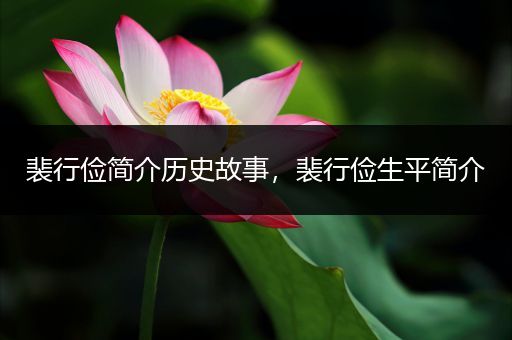 裴行俭简介历史故事，裴行俭生平简介