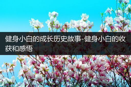 健身小白的成长历史故事-健身小白的收获和感悟