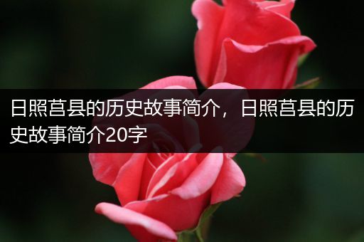 日照莒县的历史故事简介，日照莒县的历史故事简介20字