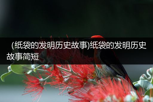 （纸袋的发明历史故事)纸袋的发明历史故事简短