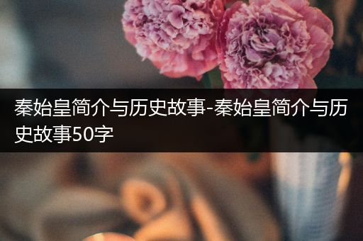 秦始皇简介与历史故事-秦始皇简介与历史故事50字