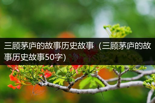 三顾茅庐的故事历史故事（三顾茅庐的故事历史故事50字）