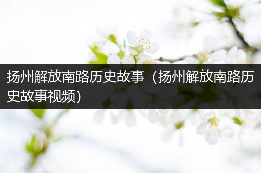 扬州解放南路历史故事（扬州解放南路历史故事视频）