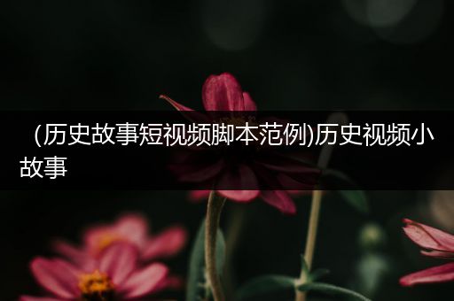 （历史故事短视频脚本范例)历史视频小故事