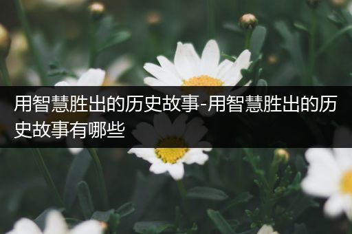 用智慧胜出的历史故事-用智慧胜出的历史故事有哪些