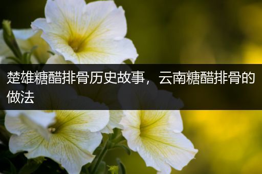 楚雄糖醋排骨历史故事，云南糖醋排骨的做法