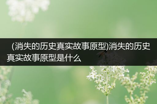 （消失的历史真实故事原型)消失的历史真实故事原型是什么