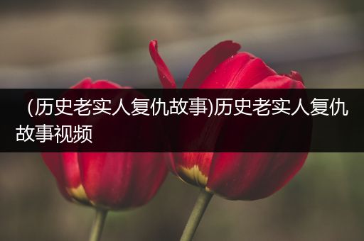 （历史老实人复仇故事)历史老实人复仇故事视频