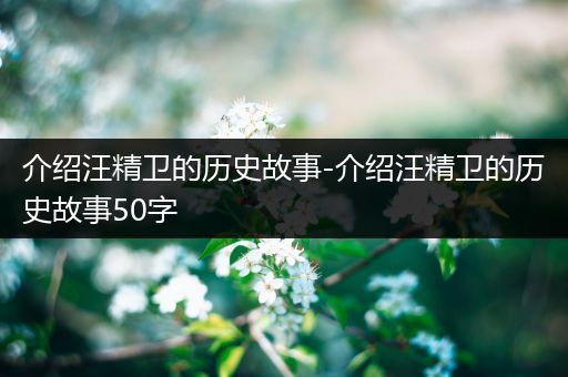 介绍汪精卫的历史故事-介绍汪精卫的历史故事50字