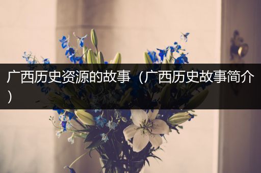 广西历史资源的故事（广西历史故事简介）