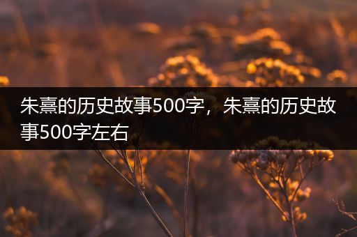 朱熹的历史故事500字，朱熹的历史故事500字左右