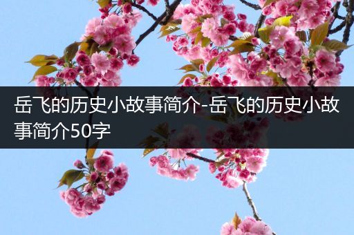 岳飞的历史小故事简介-岳飞的历史小故事简介50字