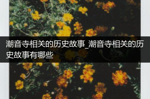 潮音寺相关的历史故事_潮音寺相关的历史故事有哪些