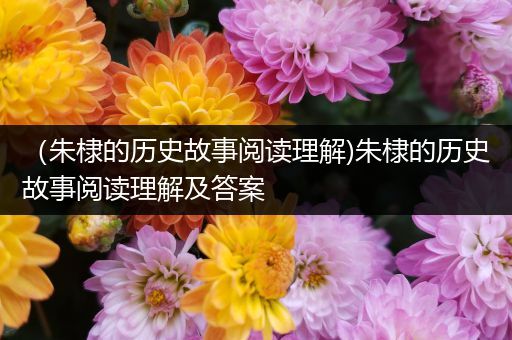 （朱棣的历史故事阅读理解)朱棣的历史故事阅读理解及答案