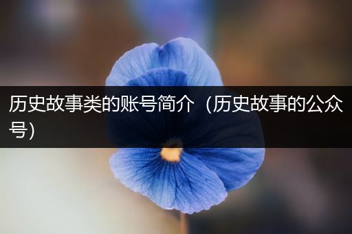 历史故事类的账号简介（历史故事的公众号）