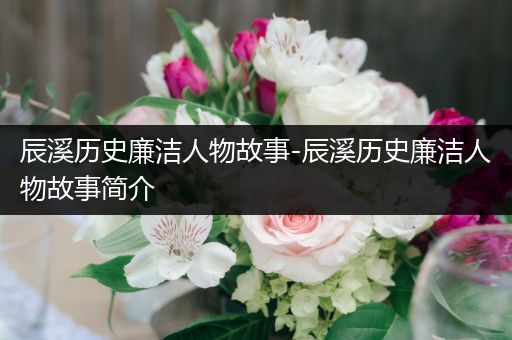 辰溪历史廉洁人物故事-辰溪历史廉洁人物故事简介