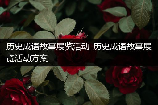 历史成语故事展览活动-历史成语故事展览活动方案