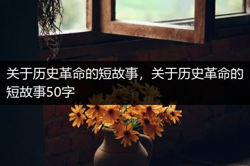 关于历史革命的短故事，关于历史革命的短故事50字