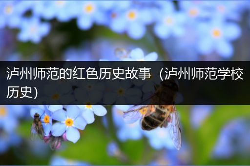 泸州师范的红色历史故事（泸州师范学校历史）