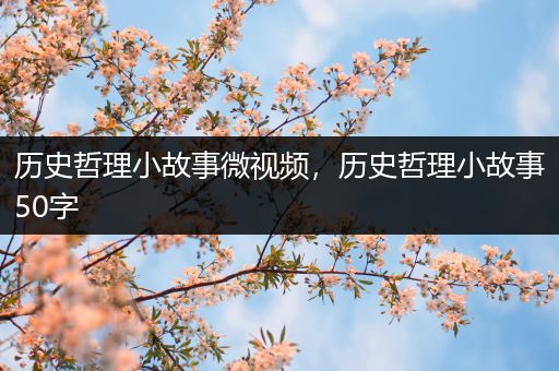 历史哲理小故事微视频，历史哲理小故事50字