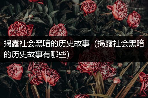 揭露社会黑暗的历史故事（揭露社会黑暗的历史故事有哪些）