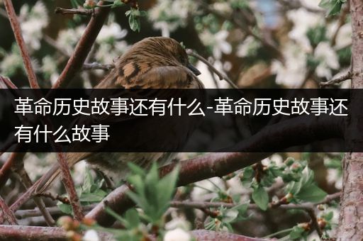 革命历史故事还有什么-革命历史故事还有什么故事