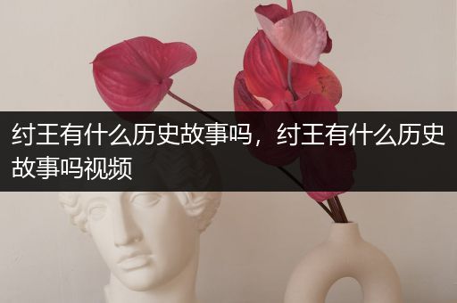 纣王有什么历史故事吗，纣王有什么历史故事吗视频