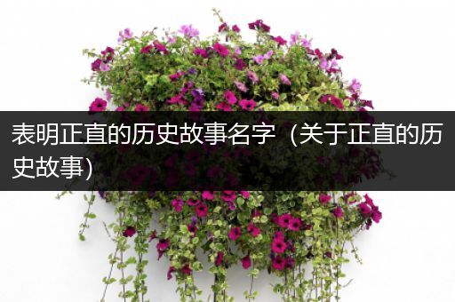 表明正直的历史故事名字（关于正直的历史故事）